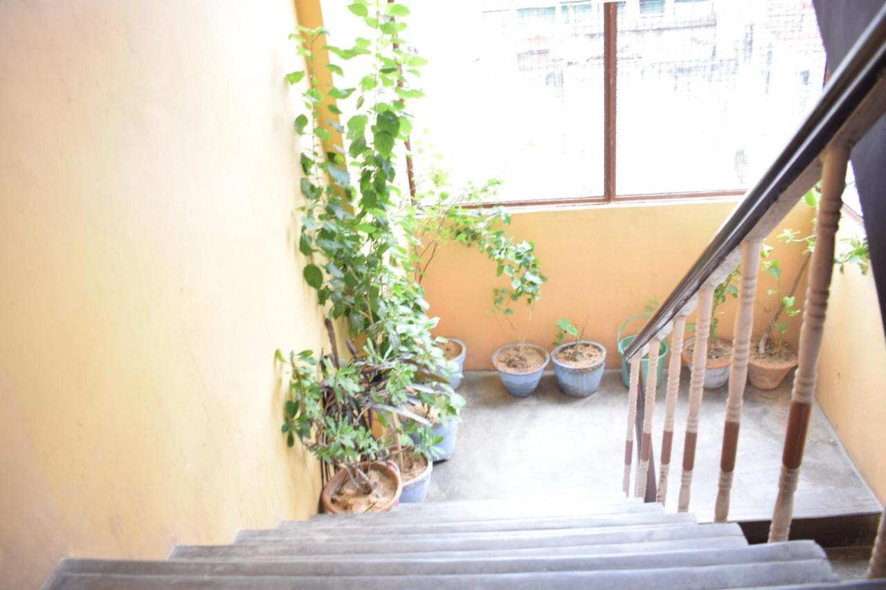 Family Guest House バラナシ エクステリア 写真